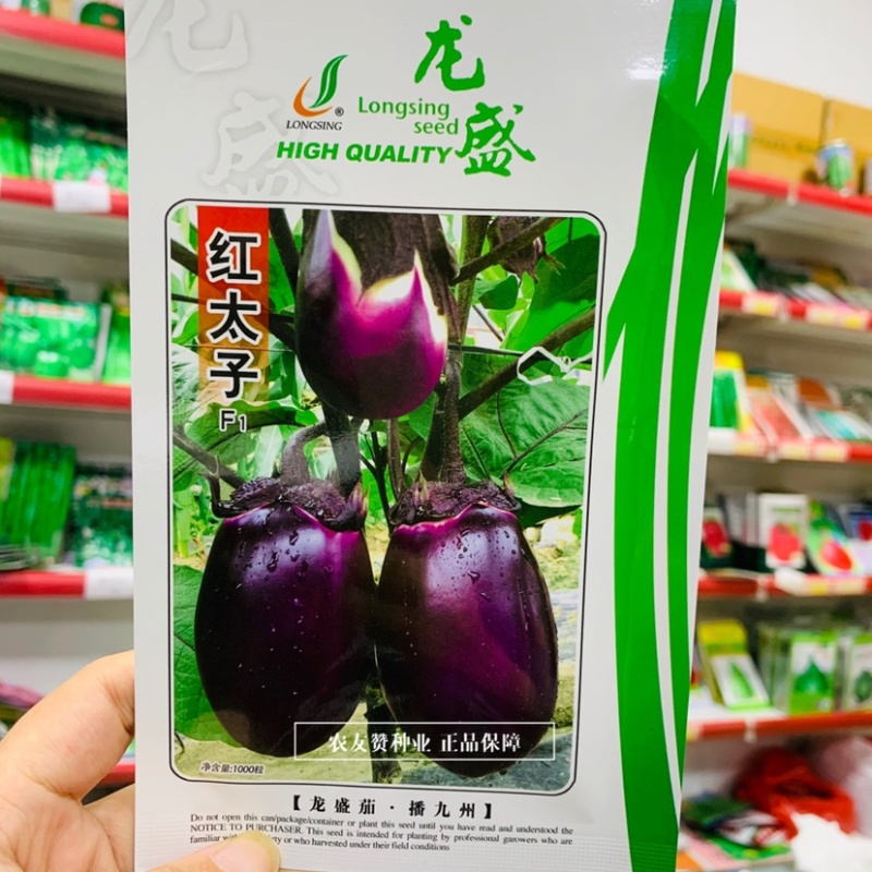 紫红圆茄种子四川红太子早茄种子一代杂交椭圆茄种籽白肉