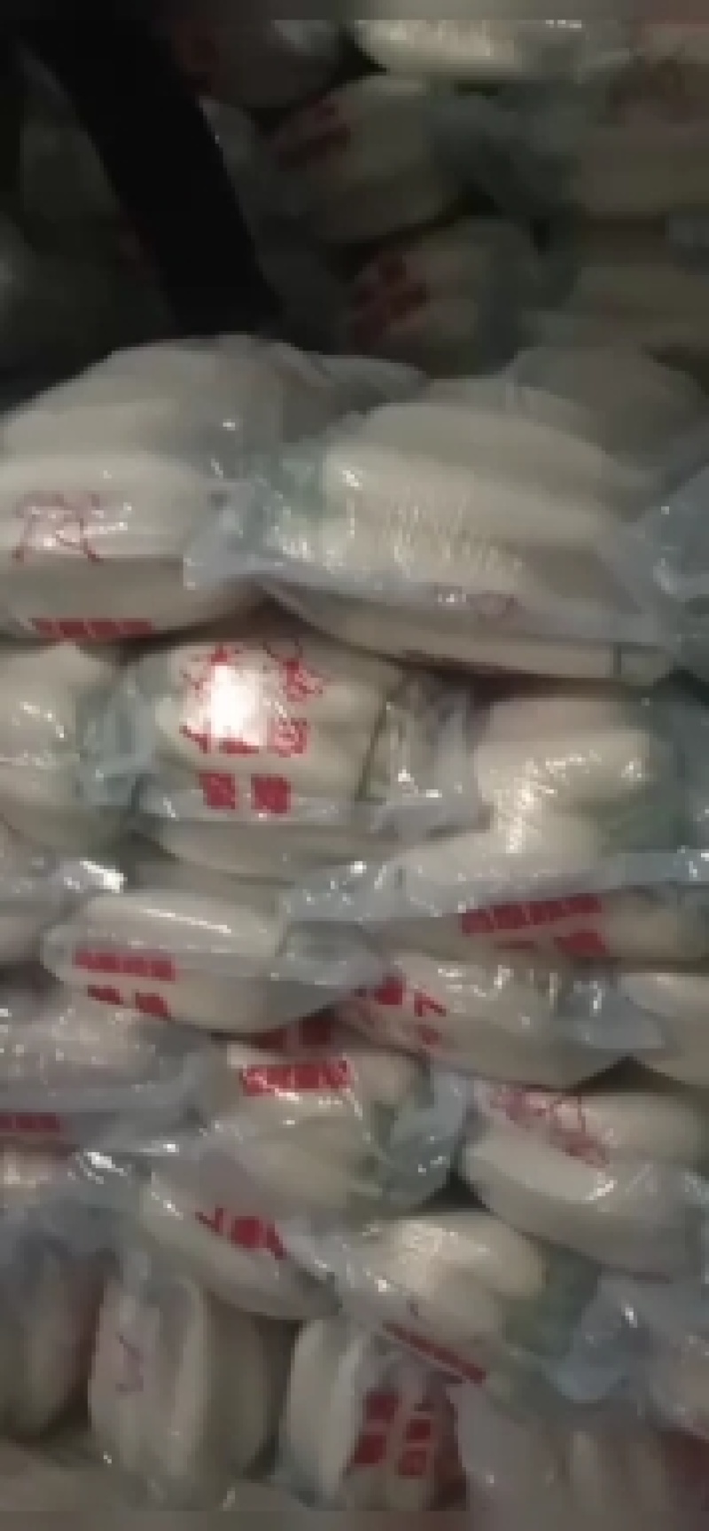 河北省,保定市,清苑区，大量出售白罗卜地，价格便宜
