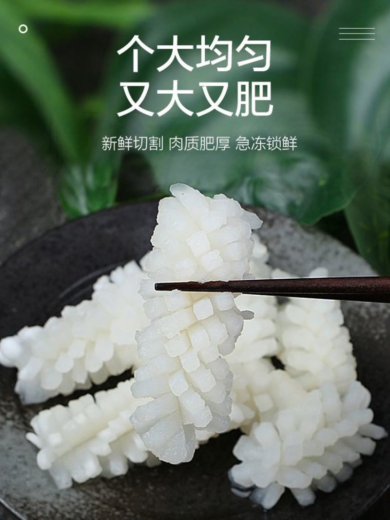 目鱼花冷冻纯干新鲜鱿鱼花墨鱼卷酒店饭店餐饮商用食材整箱