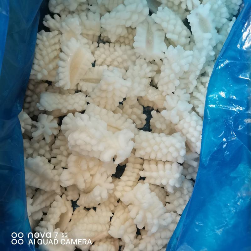 目鱼花冷冻纯干新鲜鱿鱼花墨鱼卷酒店饭店餐饮商用食材整箱
