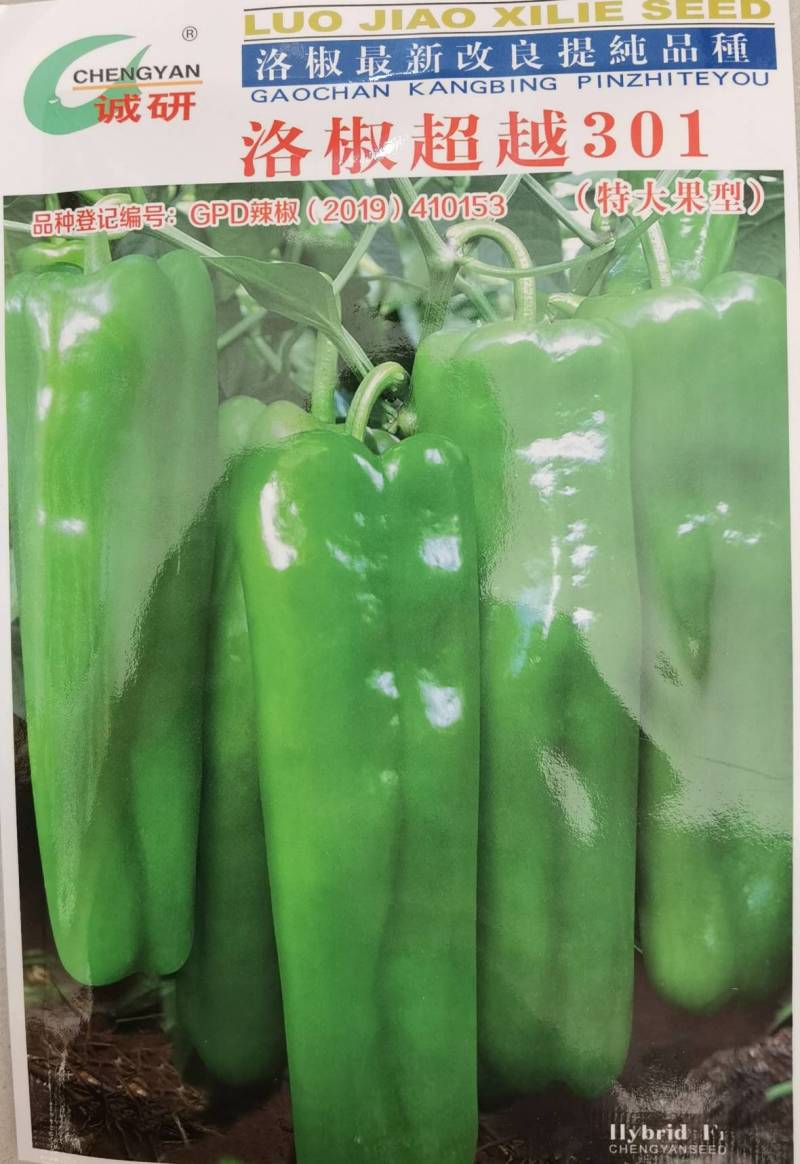 洛椒301辣椒种子种子诚研辣椒种子特大果牛角椒泡椒