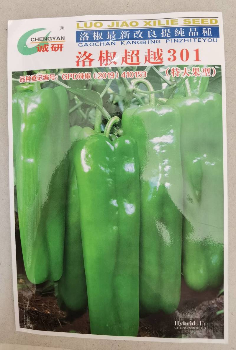 洛椒301辣椒种子种子诚研辣椒种子特大果牛角椒泡椒