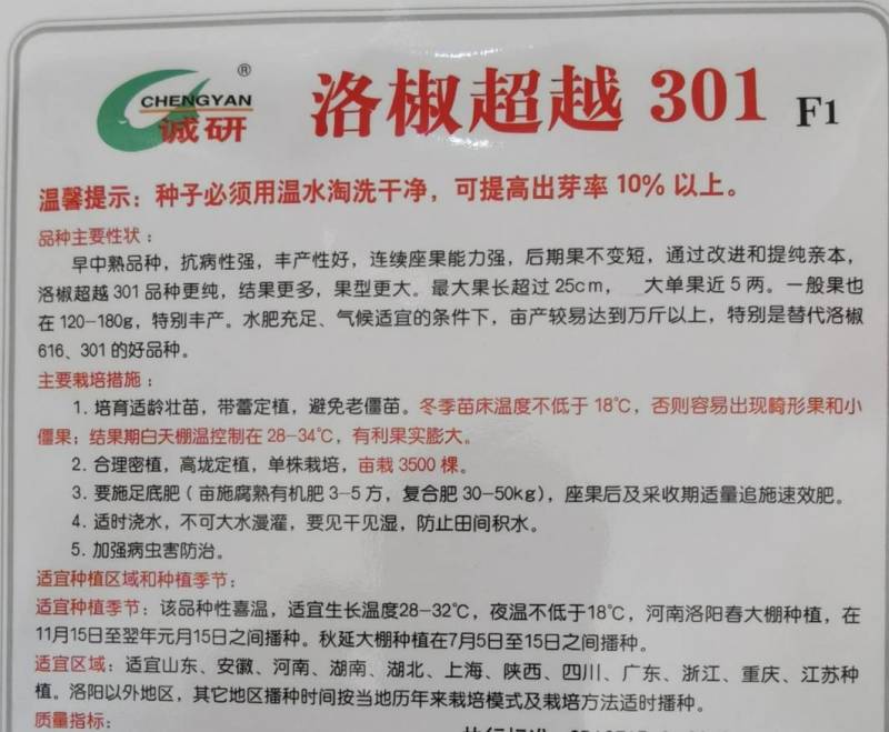洛椒301辣椒种子种子诚研辣椒种子特大果牛角椒泡椒