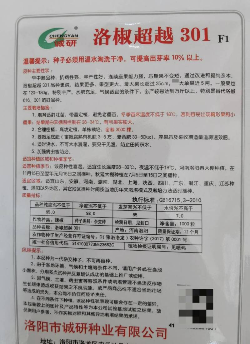 洛椒301辣椒种子种子诚研辣椒种子特大果牛角椒泡椒