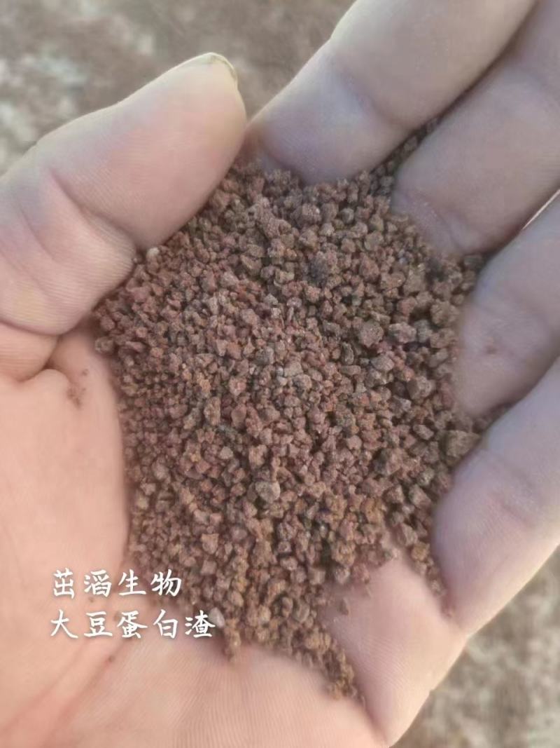 大豆蛋白渣，蛋白50.替代豆粕5-15使用，降低成本