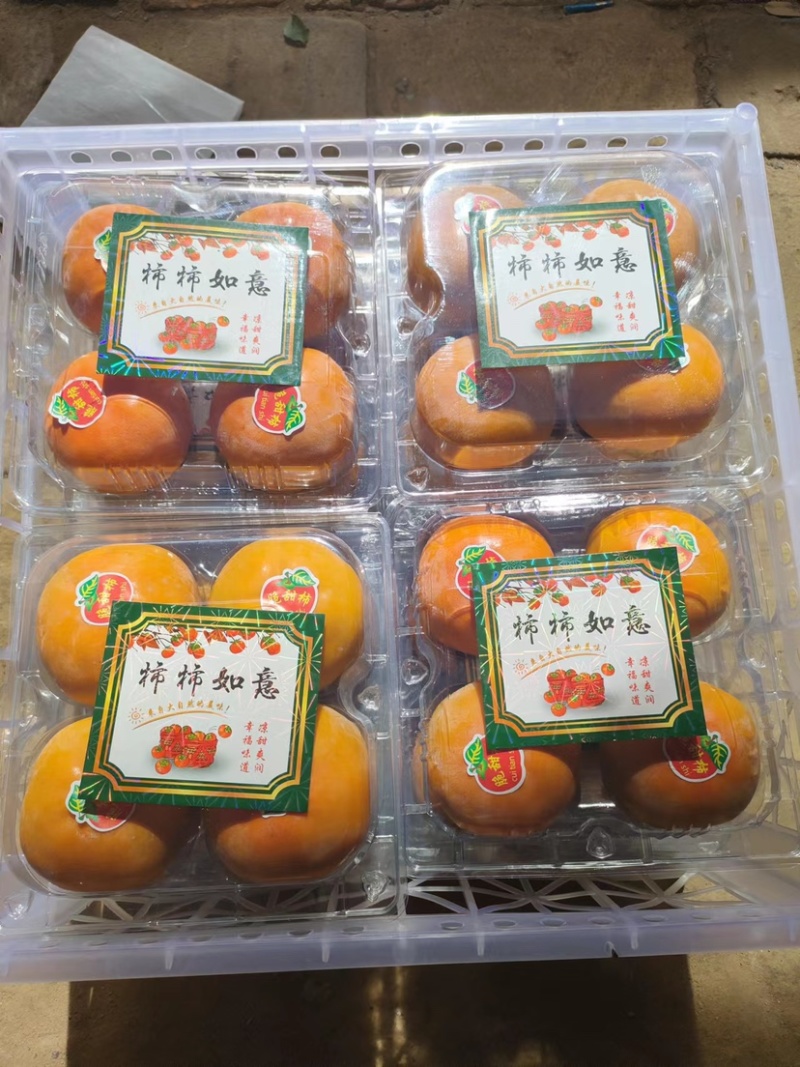 产地直供火晶柿子火葫芦柿子货源充足量大从优对接电商