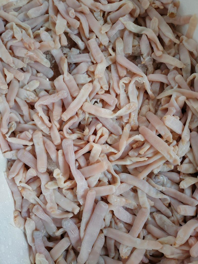 北海生沙虫刺身蒜蓉专用沙虫日料刺身海鲜食材