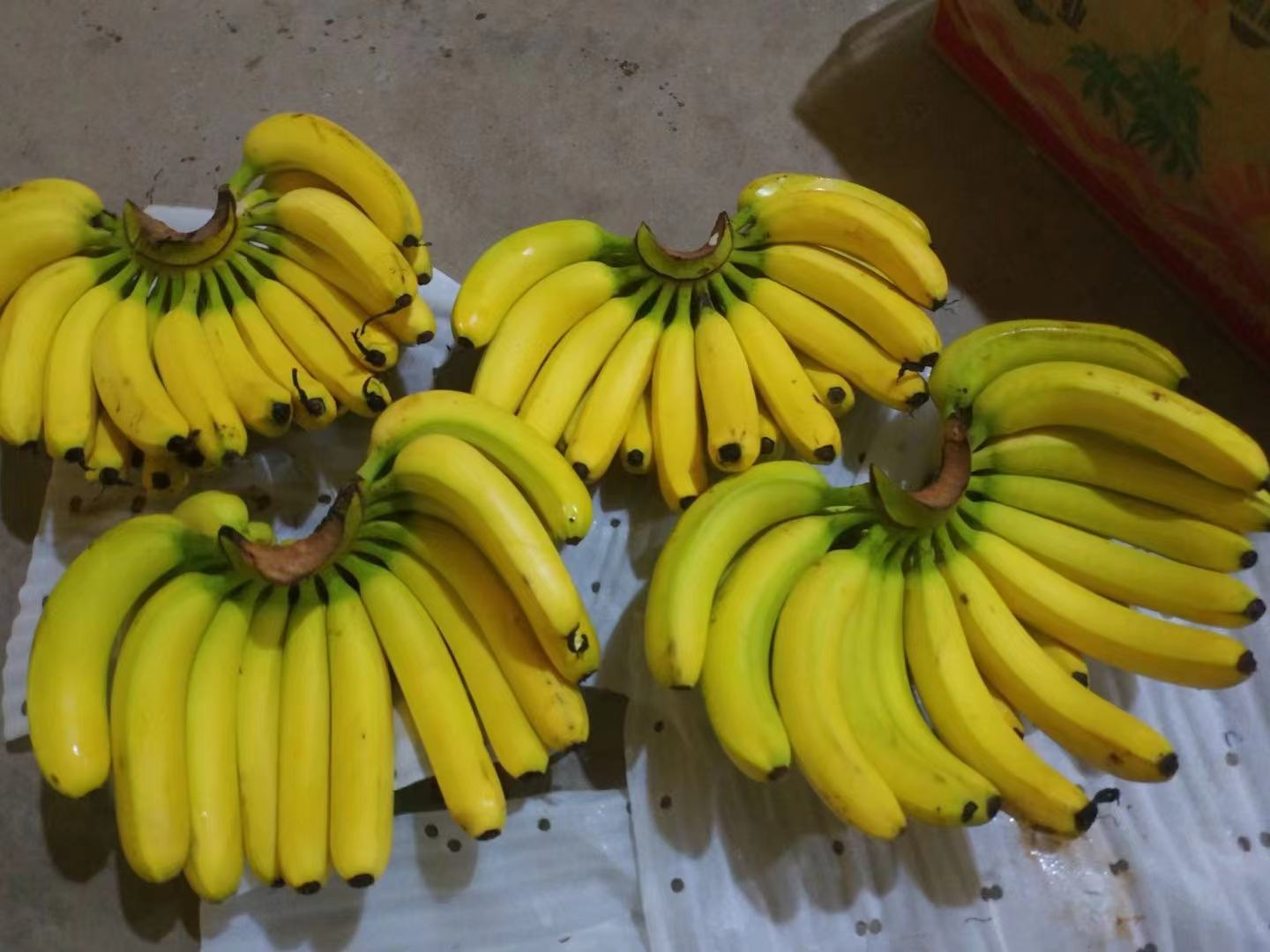 蒸熟后的半生不熟香蕉成品图,外皮微皱,果肉软糯香甜 蒸香蕉的成品图