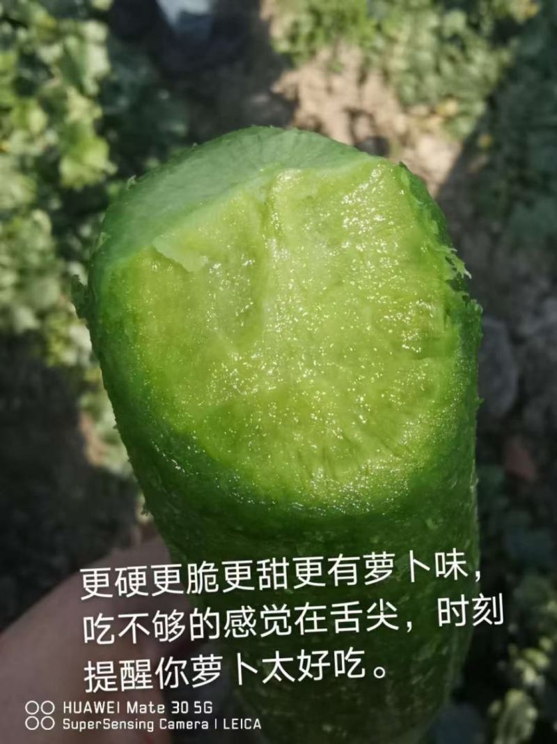 青萝卜丝