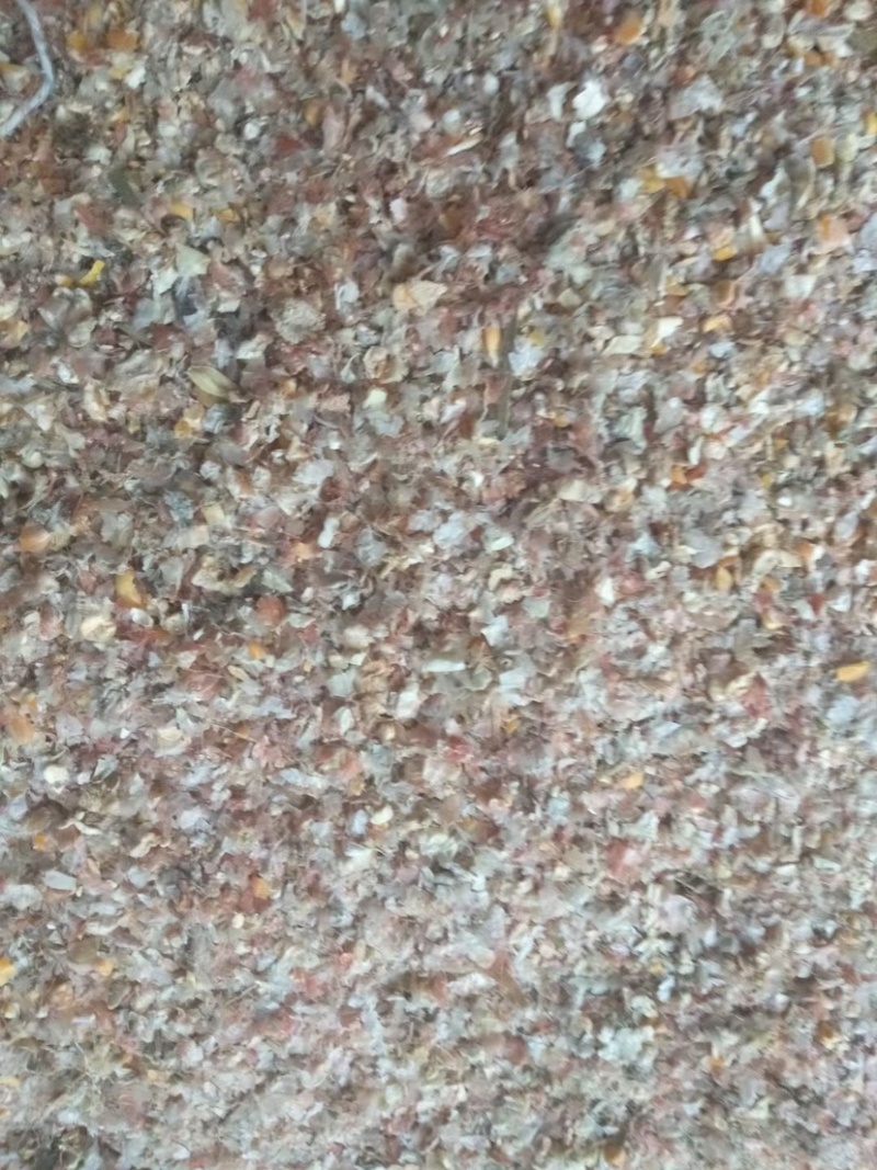 碎玉米
