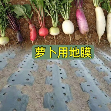 萝卜用地膜银黑双色反光双色防蚜虫