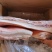 精品碎肉灌肠现货新开检疫手续齐全