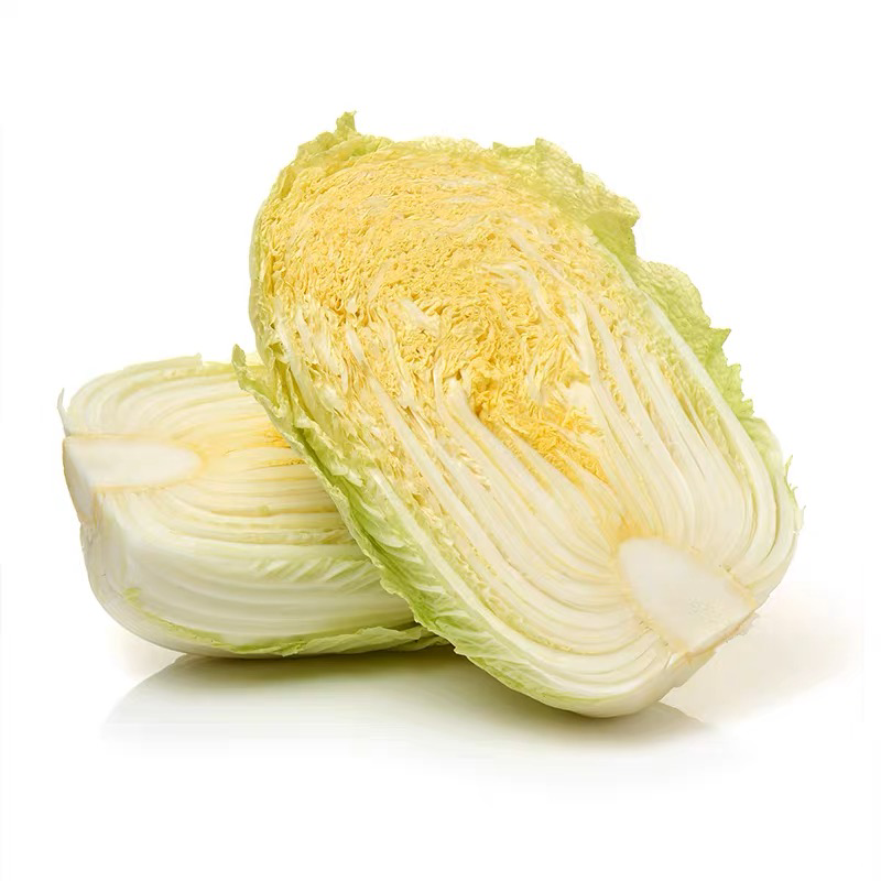 白菜陆续上市了，欢迎各位老板前来采购，质量好，价格优。