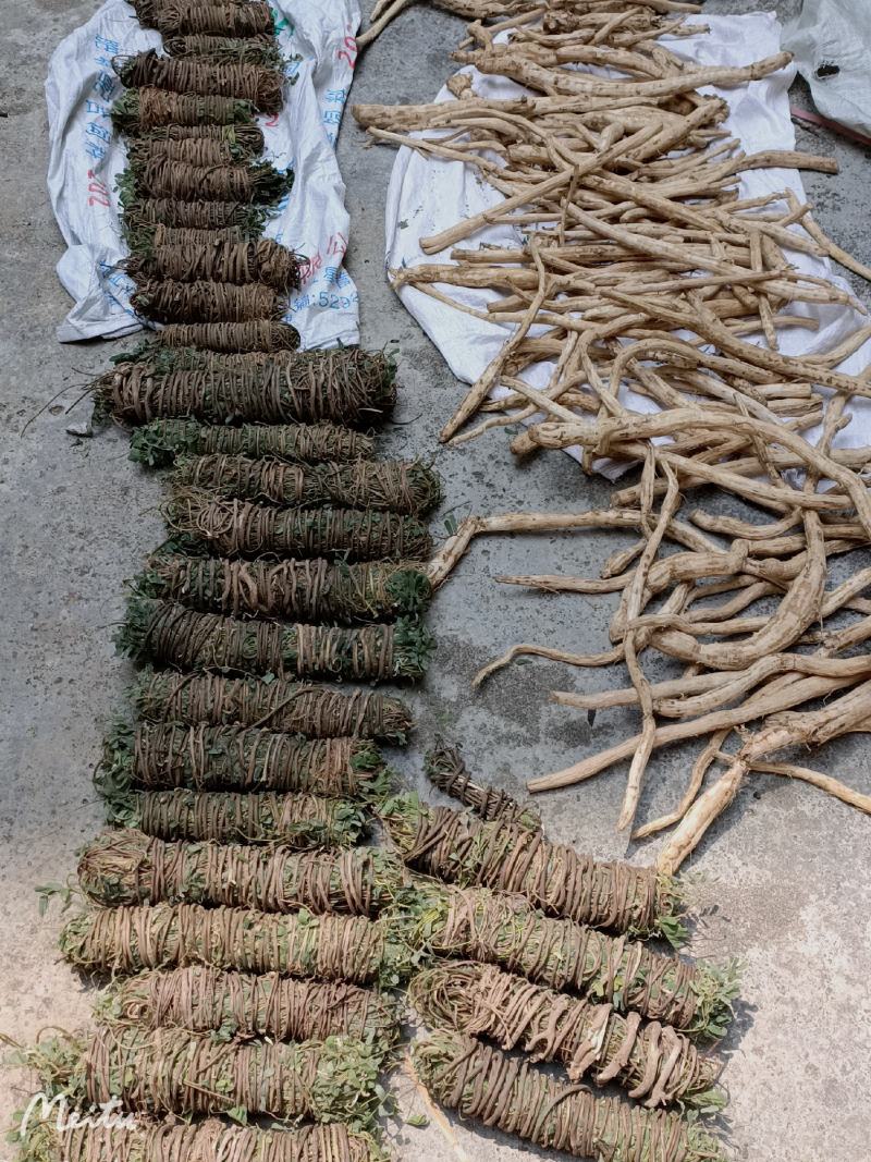 【精选】鸡骨草广东德庆本地大山鸡骨草有少量叶无叶鸡骨草