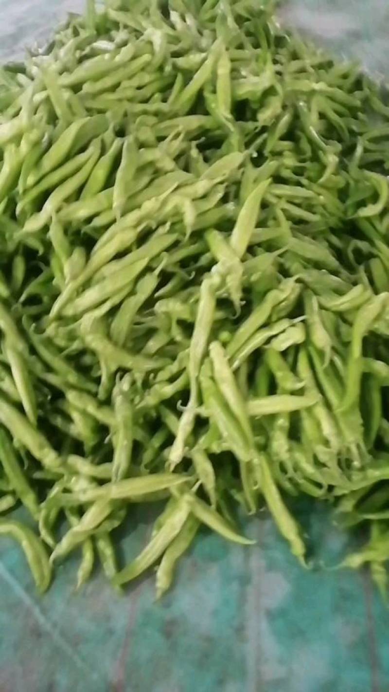 鲜辣椒新鲜上市，颜色鲜亮，货源充足