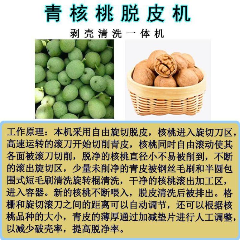 青核桃去皮机小型家用鲜核桃剥皮清洗一体机山核桃脱皮扒皮壳