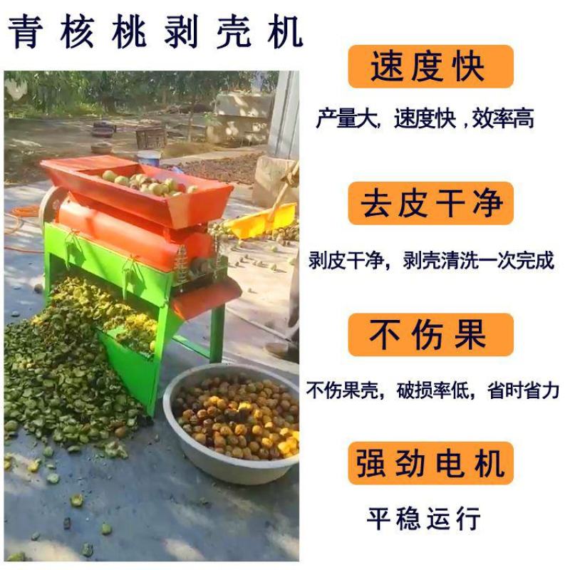 青核桃去皮机小型家用鲜核桃剥皮清洗一体机山核桃脱皮扒皮壳