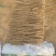 深州小白嘴山药中国山药看河北白嘴山药看深州