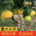 爱媛38果冻橙，长期供应，欢迎订购，量大从优。