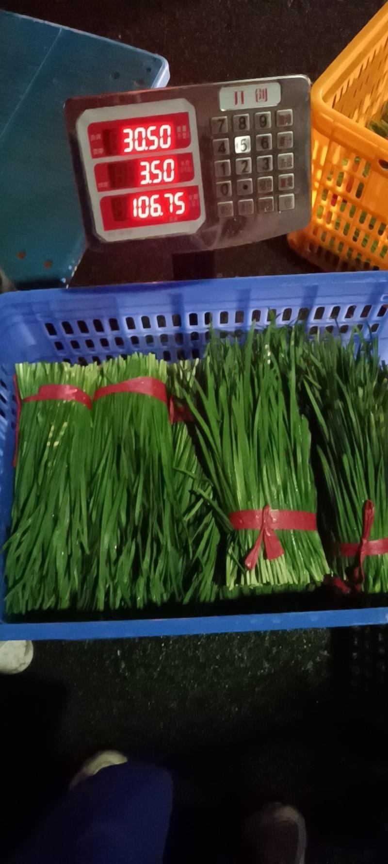贵州黔南精品韭菜，一手货源，欢迎客服联系要货。