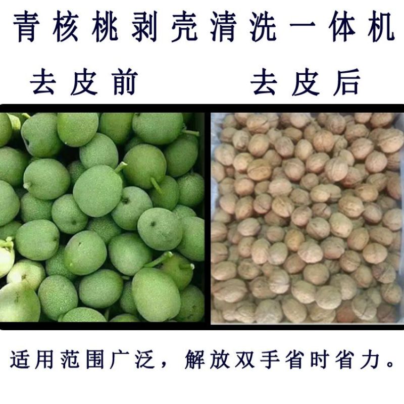 青核桃去皮机小型家用鲜核桃剥皮清洗一体机山核桃脱皮扒皮壳