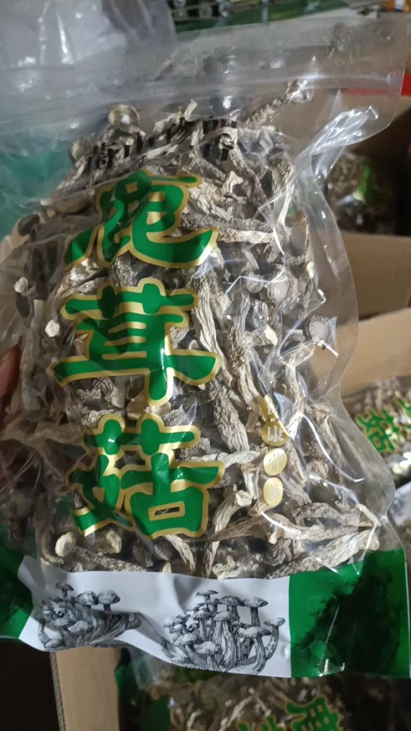 鹿茸菇工厂直销，各种等级齐全，价格优惠。如意情