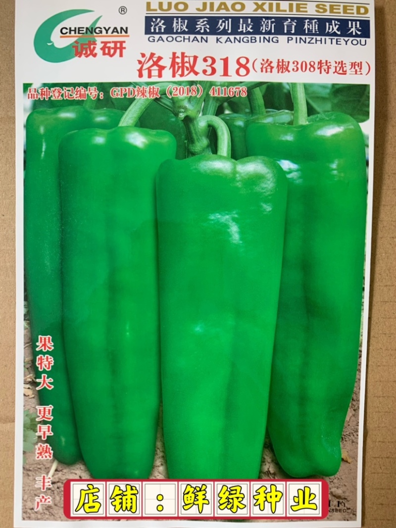 洛椒318（洛椒308特选型）：早熟、光滑、顺直