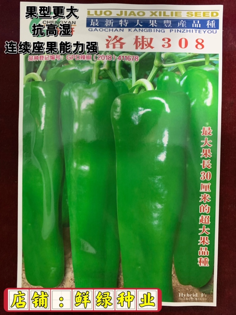 洛椒318（洛椒308特选型）：早熟、光滑、顺直