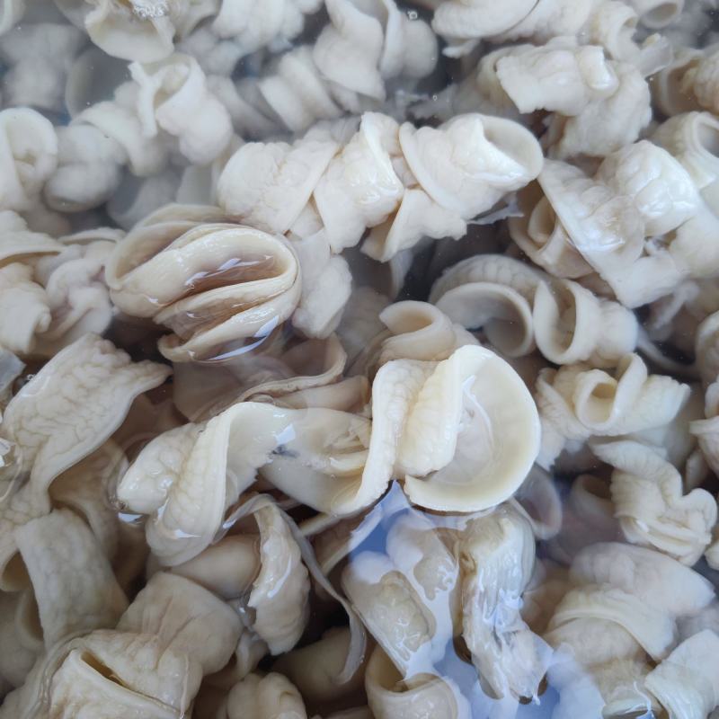 鲨鱼肠