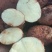 云南会泽土豆，黄心土豆，108，108，