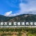 【精品】突尼斯软籽石榴口感好，汁水多，产地直发，欢迎致电