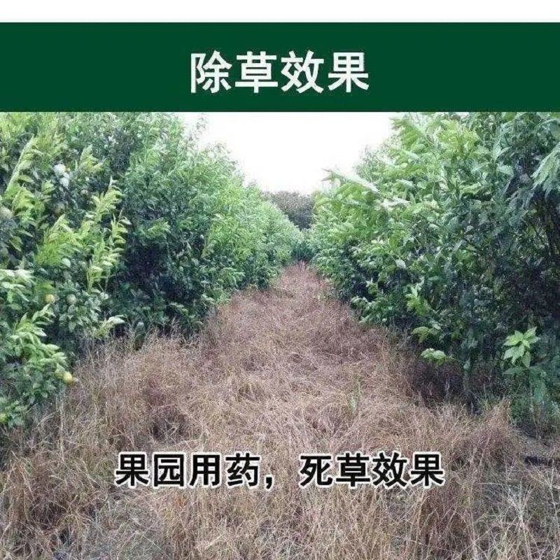 50斤大桶41%草甘膦，32%草甘膦厂家销售