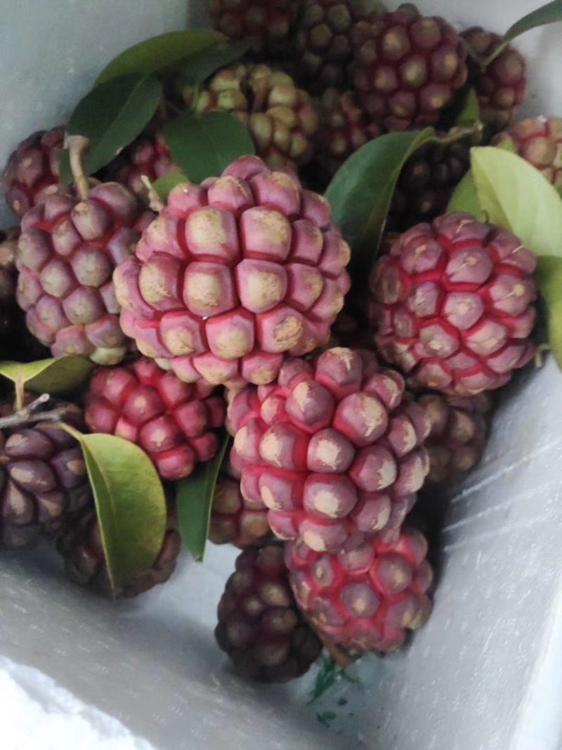 布福娜鲜果