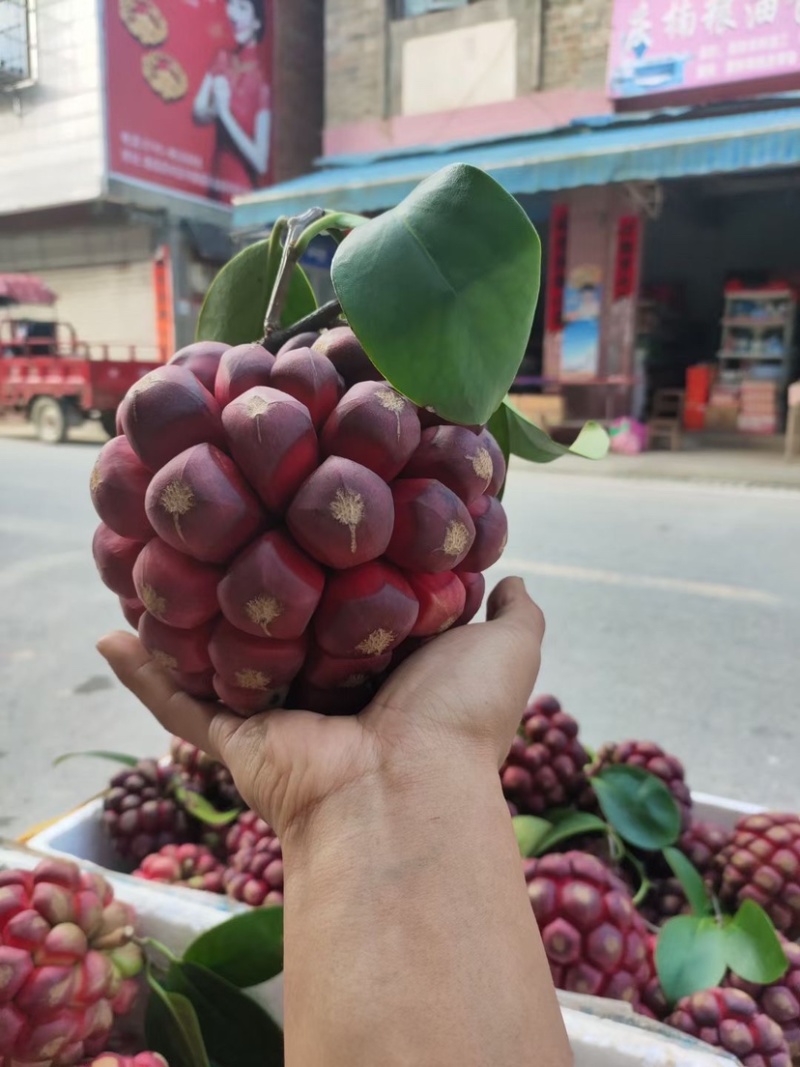 布福娜鲜果