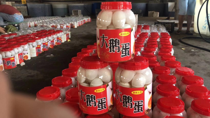 桶装大鹅蛋，白洋淀产地直供，质量保证！团购地摊精品
