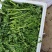 湖北小叶茼蒿，皇帝菜正在上市支持配菜