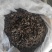 虻虫干货牛虻虫中药材量大从优欢迎选购！