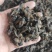 虻虫干货牛虻虫中药材量大从优欢迎选购！