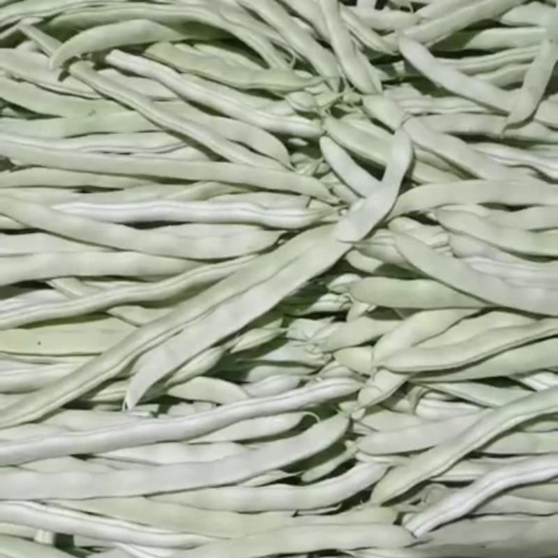 白豆角