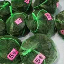 49规格精挑