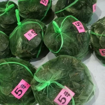 49规格精挑