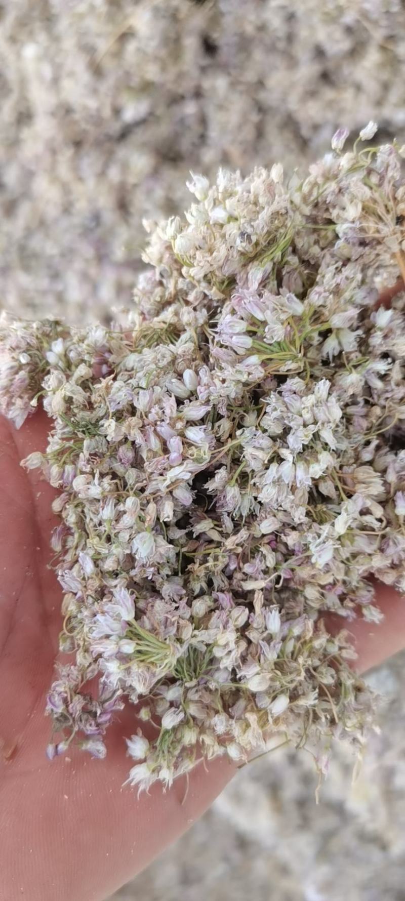 麻麻花