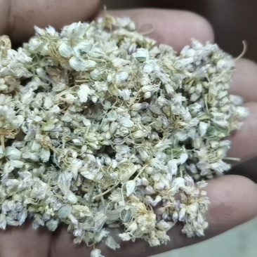 麻麻花