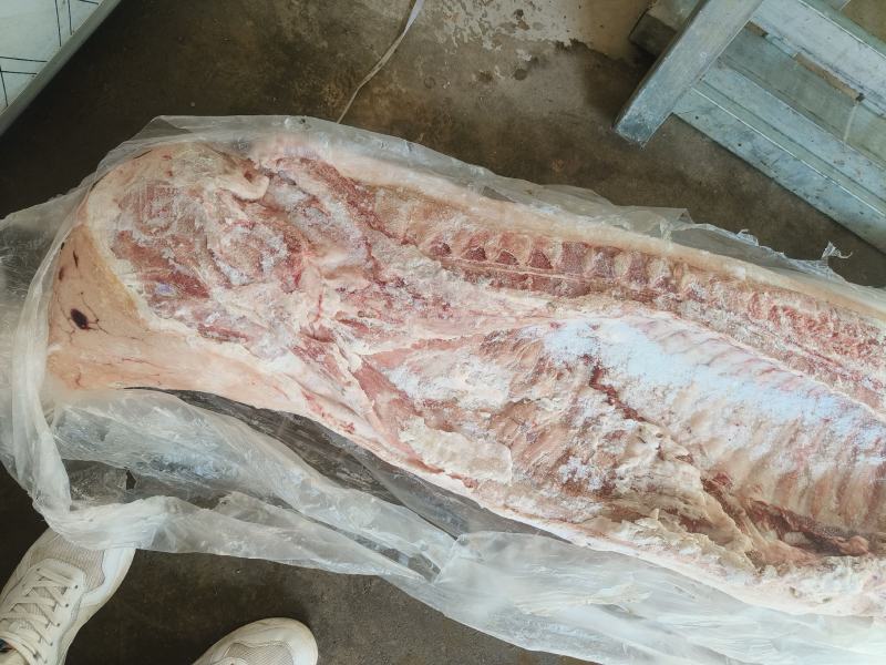 国储肥猪90-120白条，价格不高需要的抓紧抢购