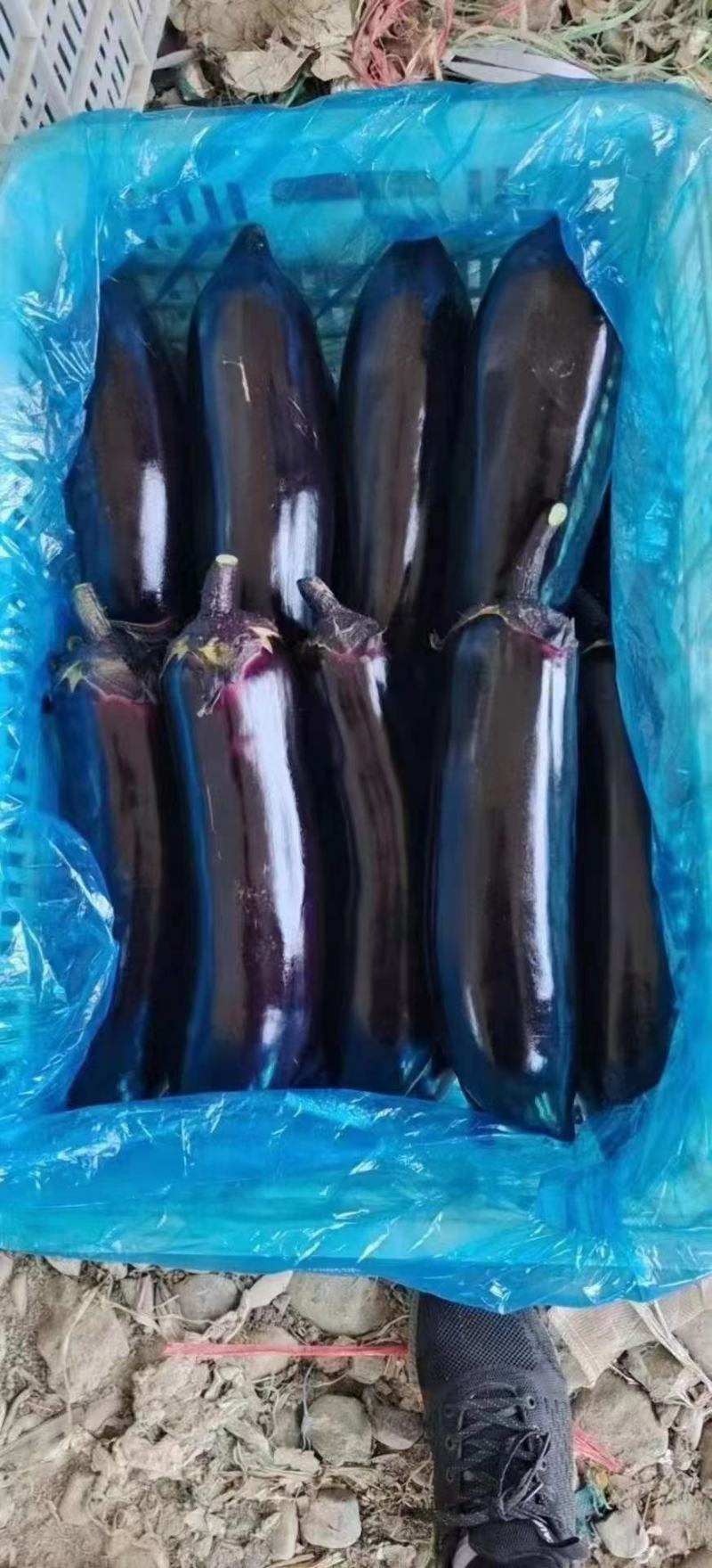 量大现货