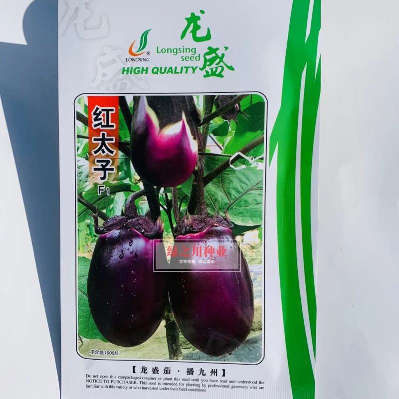 龙盛红太子茄子种子一代杂交早熟果肉白色紫红圆茄种子