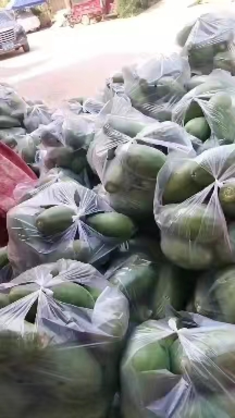【产地直发】云南新鲜红心木瓜现摘现发量大从优一手货源