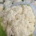 本地松花实花大量上市，产地直发需要的老板可以选购