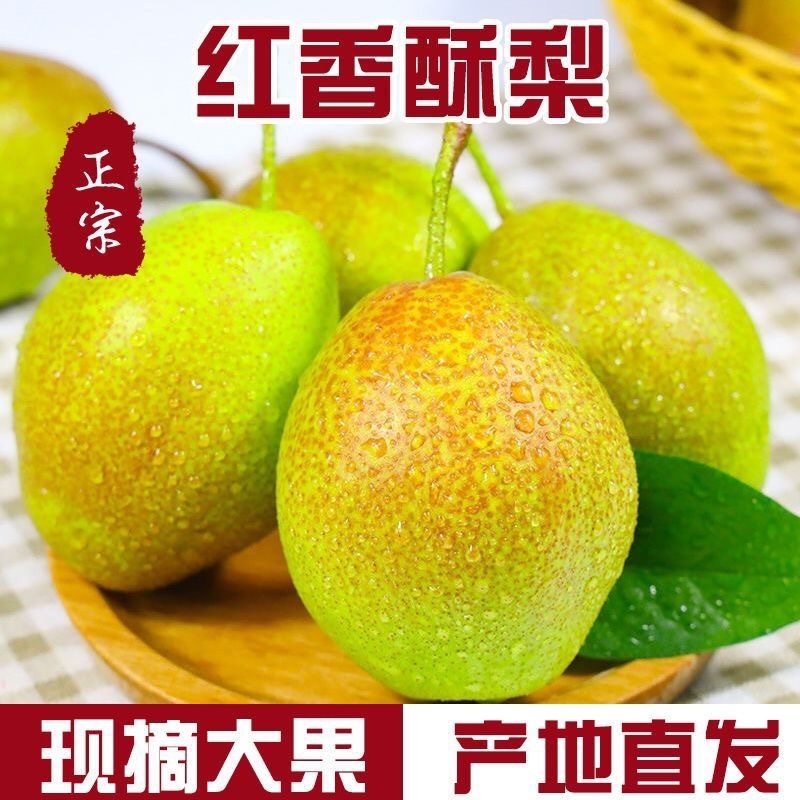 山西运城龙居美玉一抹红晕果库红香酥梨现货供应