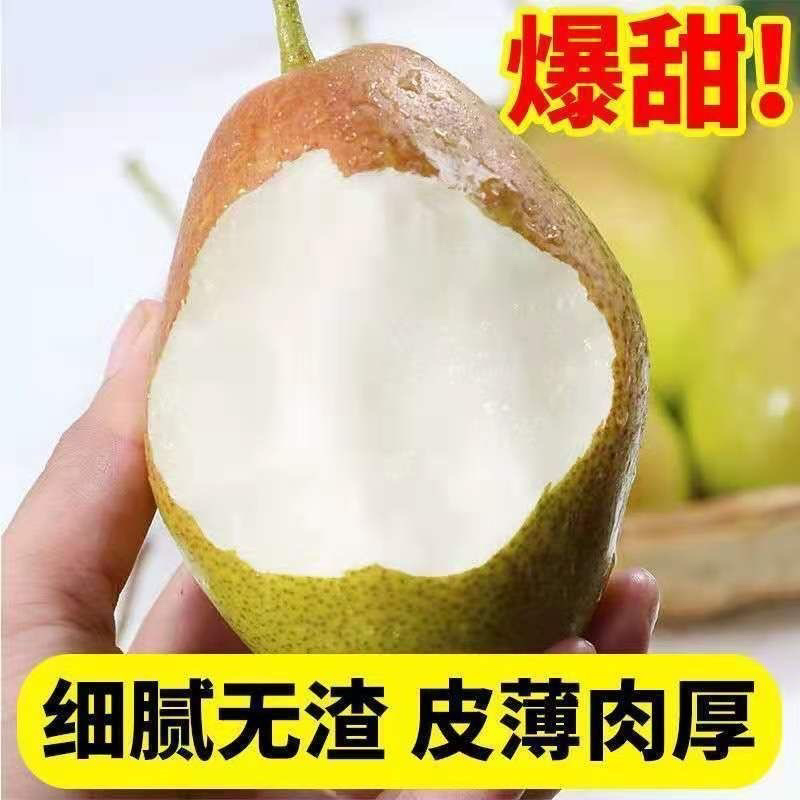 山西运城龙居美玉一抹红晕果库红香酥梨现货供应